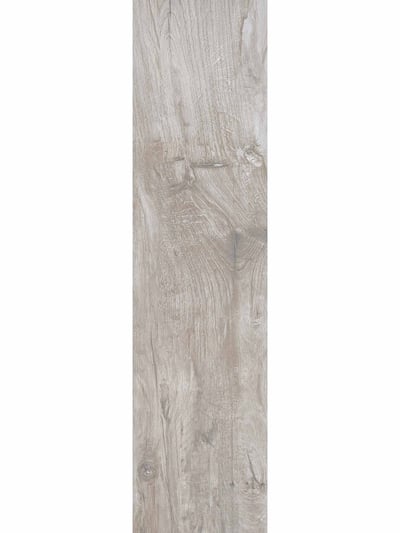 Nebrasca Maple