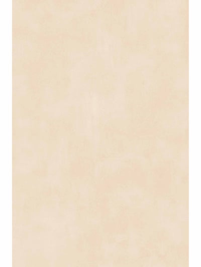 Street Beige