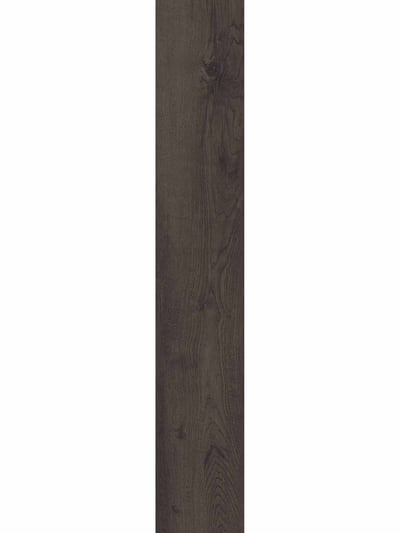 Alder Chestnut