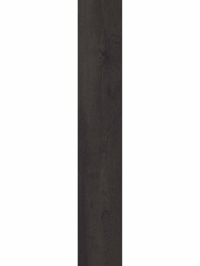 Alder Venge