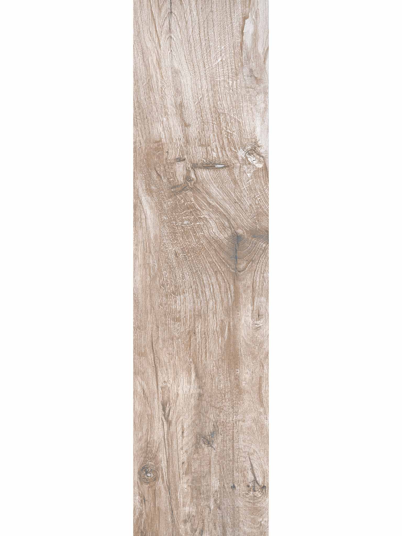 Nebrasca Oak