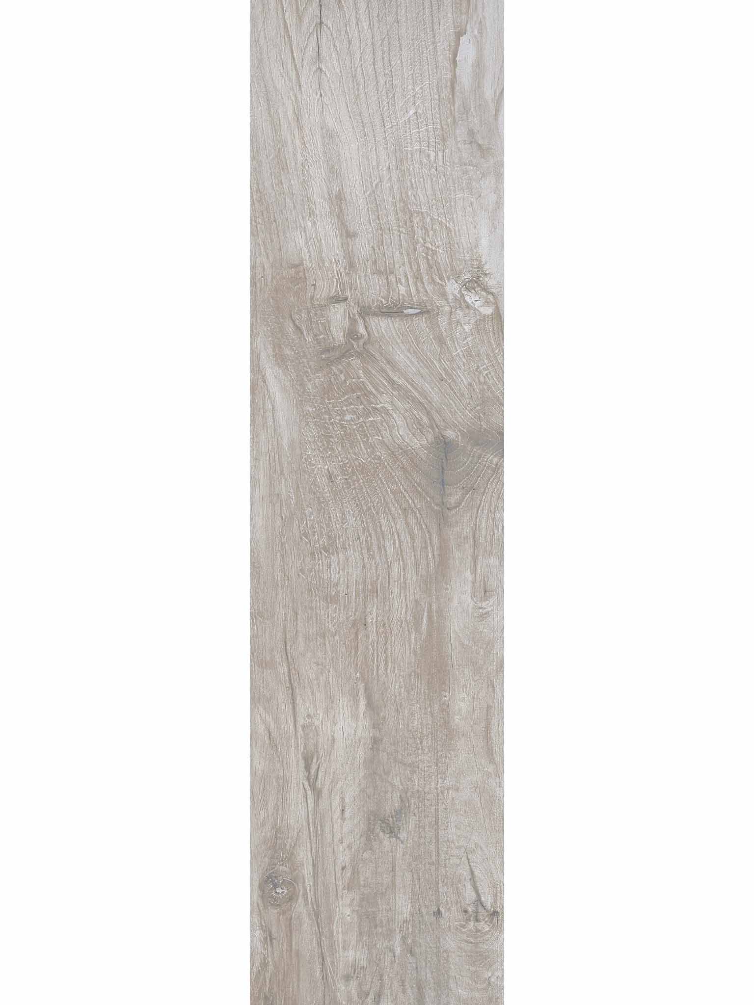 Nebrasca Maple