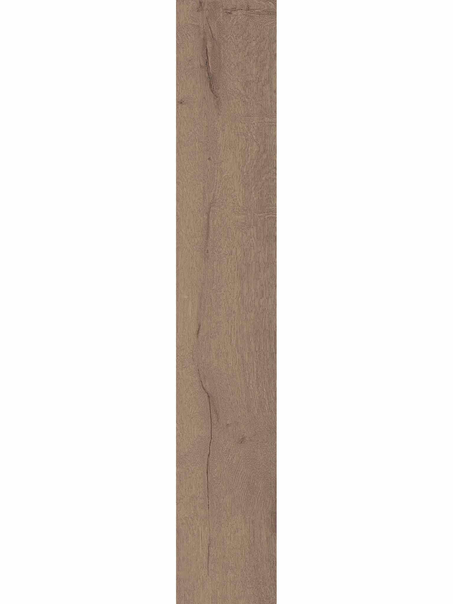 Diamond Maple