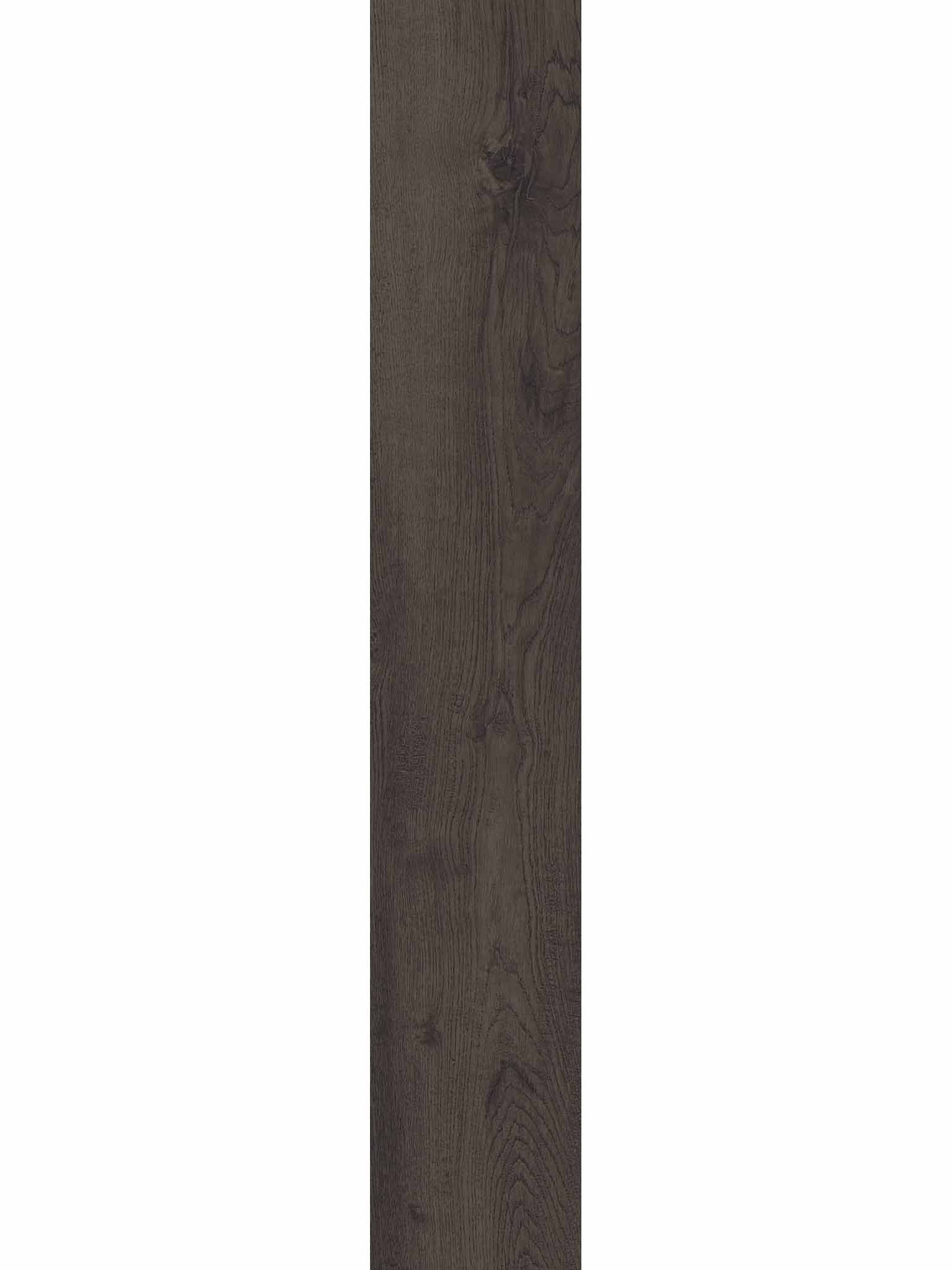 Alder Chestnut